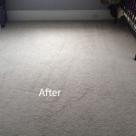 Bedroom-Wall-to-Wall-Carpet-Cleaning-Danville-B