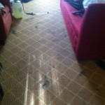 Danville-Carpet-Clean-before