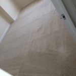 Danville-Carpet-Clean-room