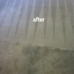 Danville-Carpet-Cleaning-Carpet-Cleaning