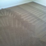 Danville-Carpet-Cleaning-Wall-To-Wall