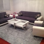 Danville-Upholstery-Cleaning