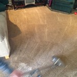 Dirty-Carpet-Cleaned-Danville