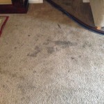 Dirty-Carpet-Danville-CA
