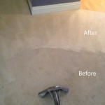 Steam-Carpet-Cleaning-Danville